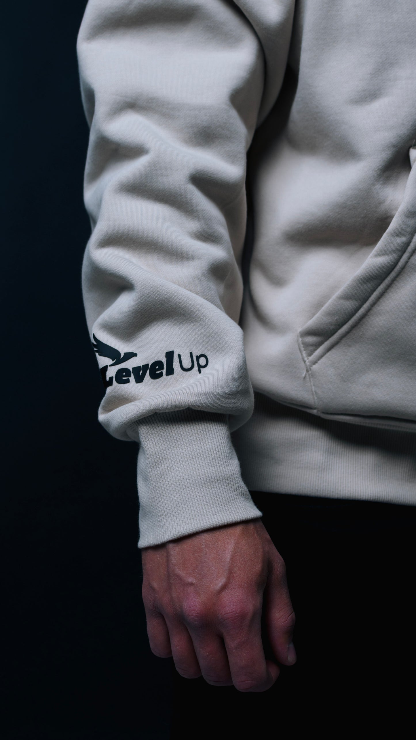 LevelUp - Oversized Hoodie